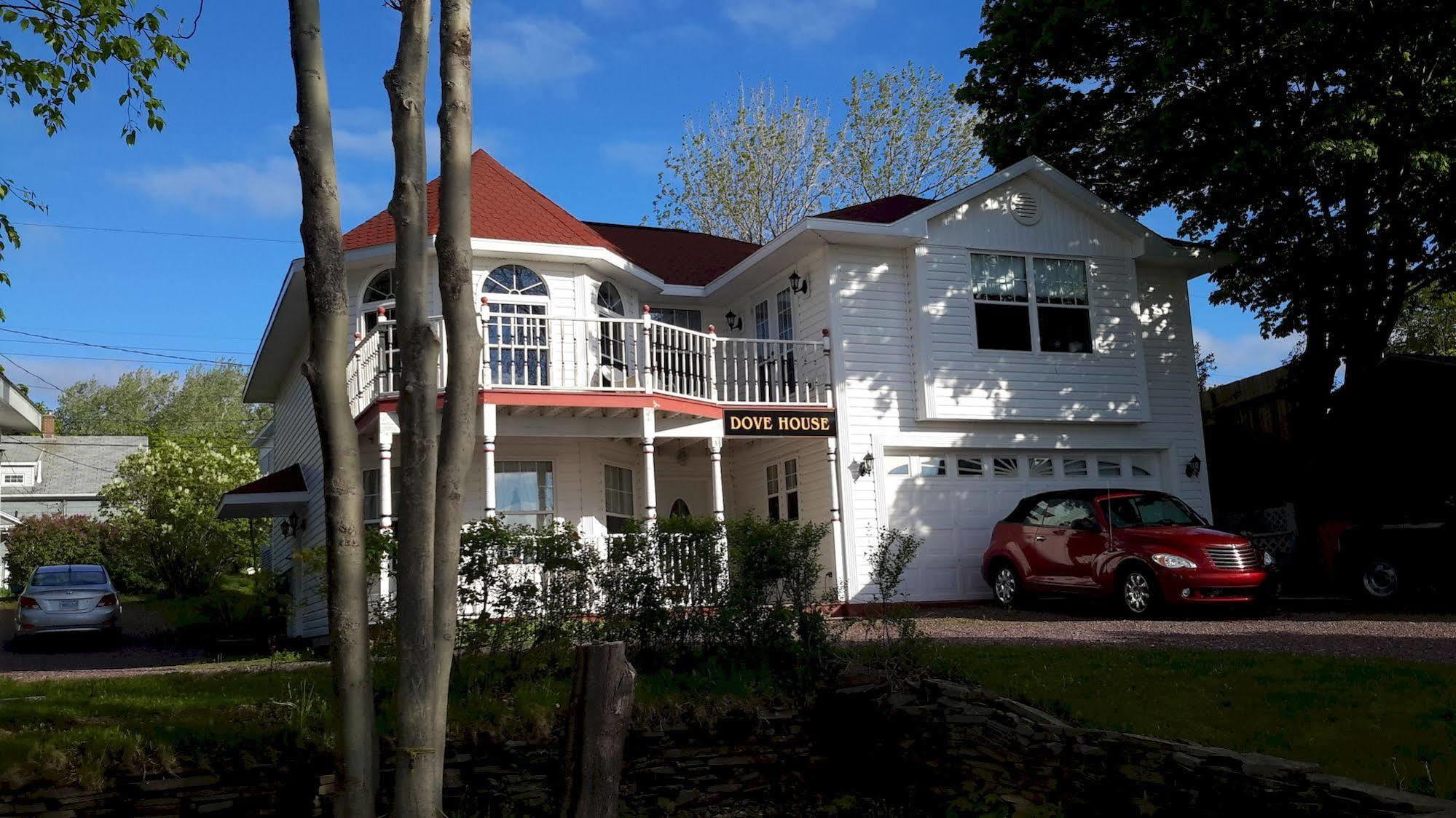 Dove House Bed & Breakfast Harbourside North Sydney Ngoại thất bức ảnh